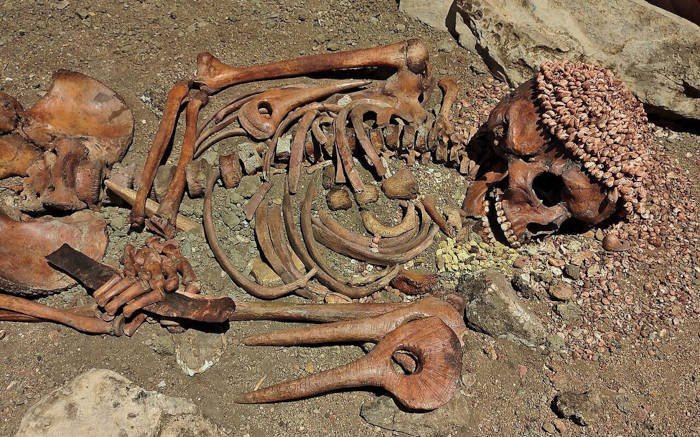 A 28000-Year-Old Mystery