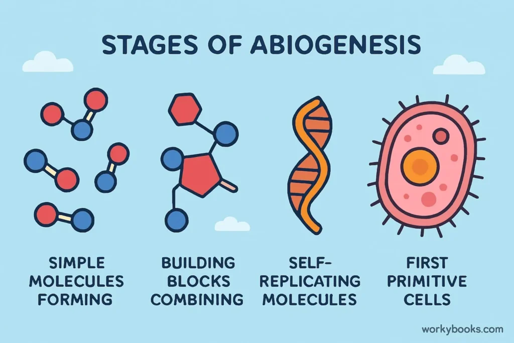 Abiogenesis Process Diagram