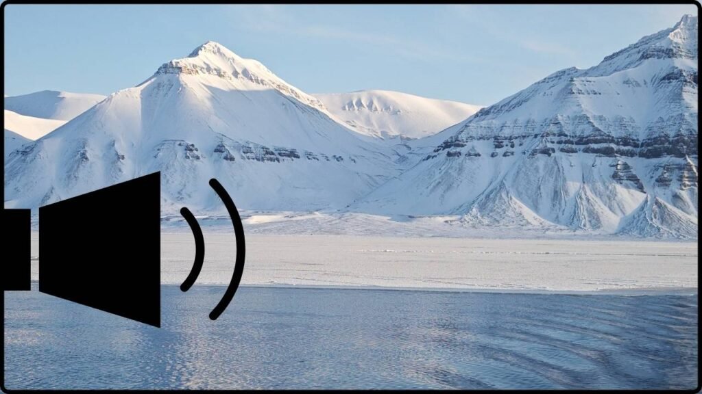 As Arctic Noise Rises, Narwhals Are Changing How They Communicate