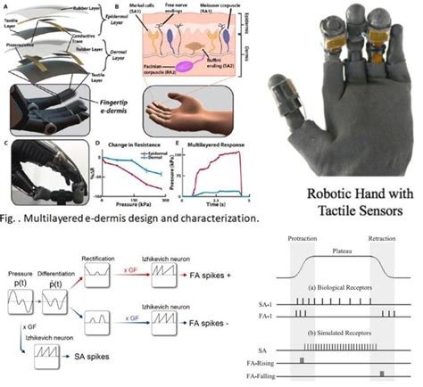Bio-robotics tactile data