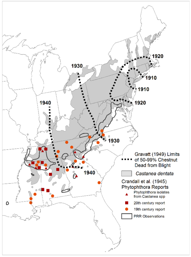 Chestnut Blight Spread Over Time