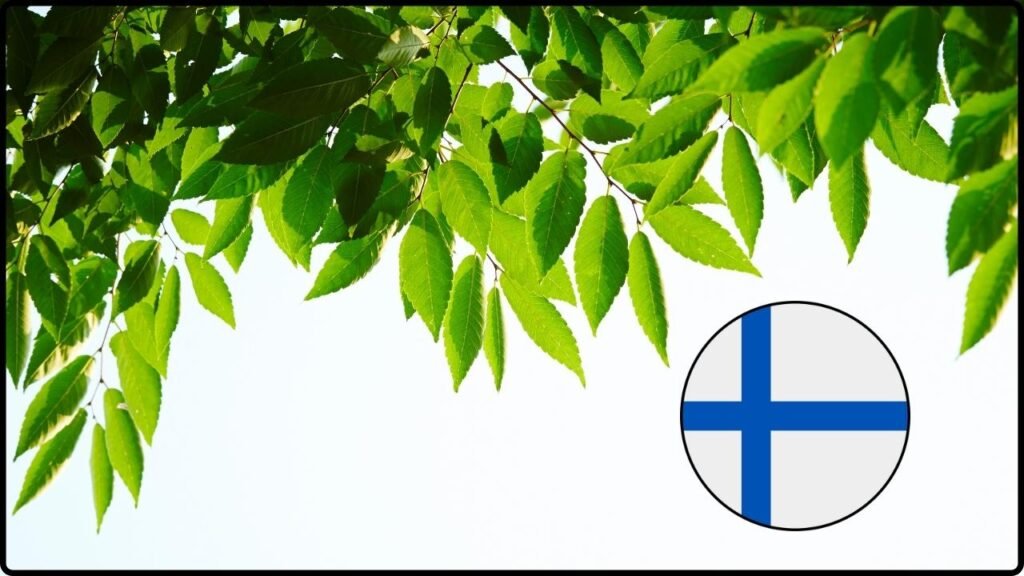 Finland Discovers Trees That Trap Gold in Their Leaves