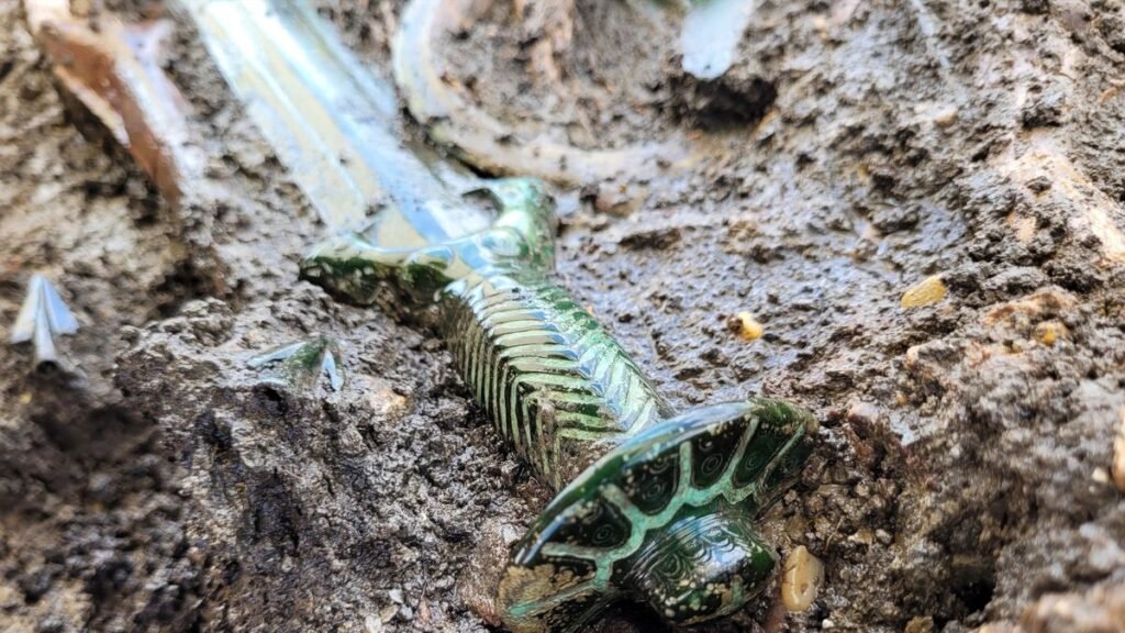 Flawless Bronze Age Sword