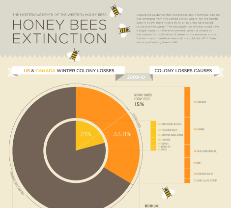 Honey Bees Extinctions