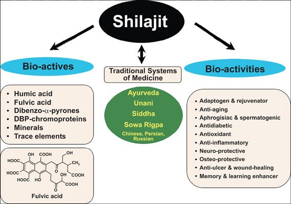 Why Shilajit Has Been Used for Over 3,000 Years — And 4 Modern Ways People Use It 2 Infographic showing major components of Shilajit, including fulvic acid and trace minerals