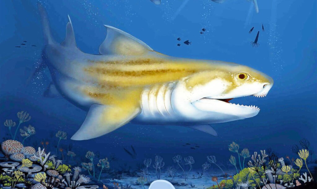 Mammoth Cave Shark Reconstruction