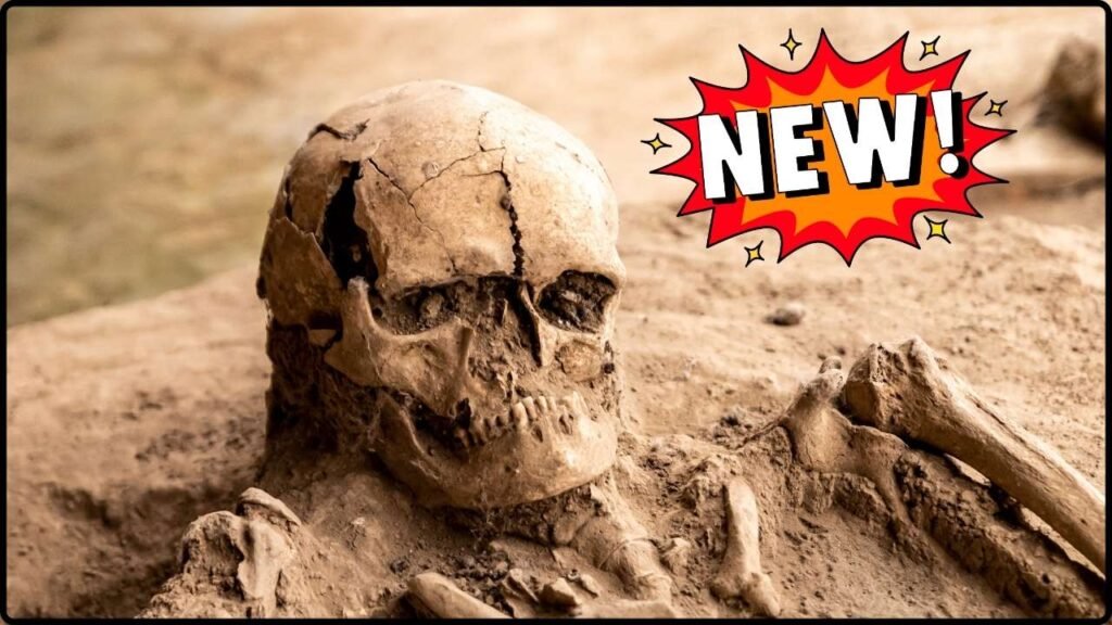 New Fossil Skeleton Suggests the Earliest Homo Species Looked Very Different From Us