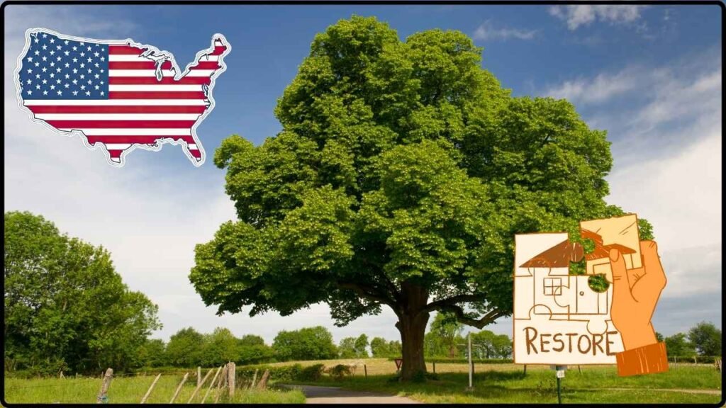 Researchers Work to Restore the American Chestnut Tree