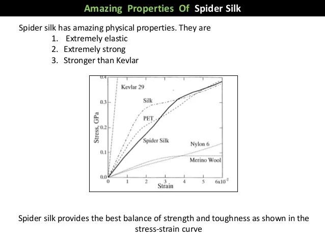 Spider silk stress‑strain chart