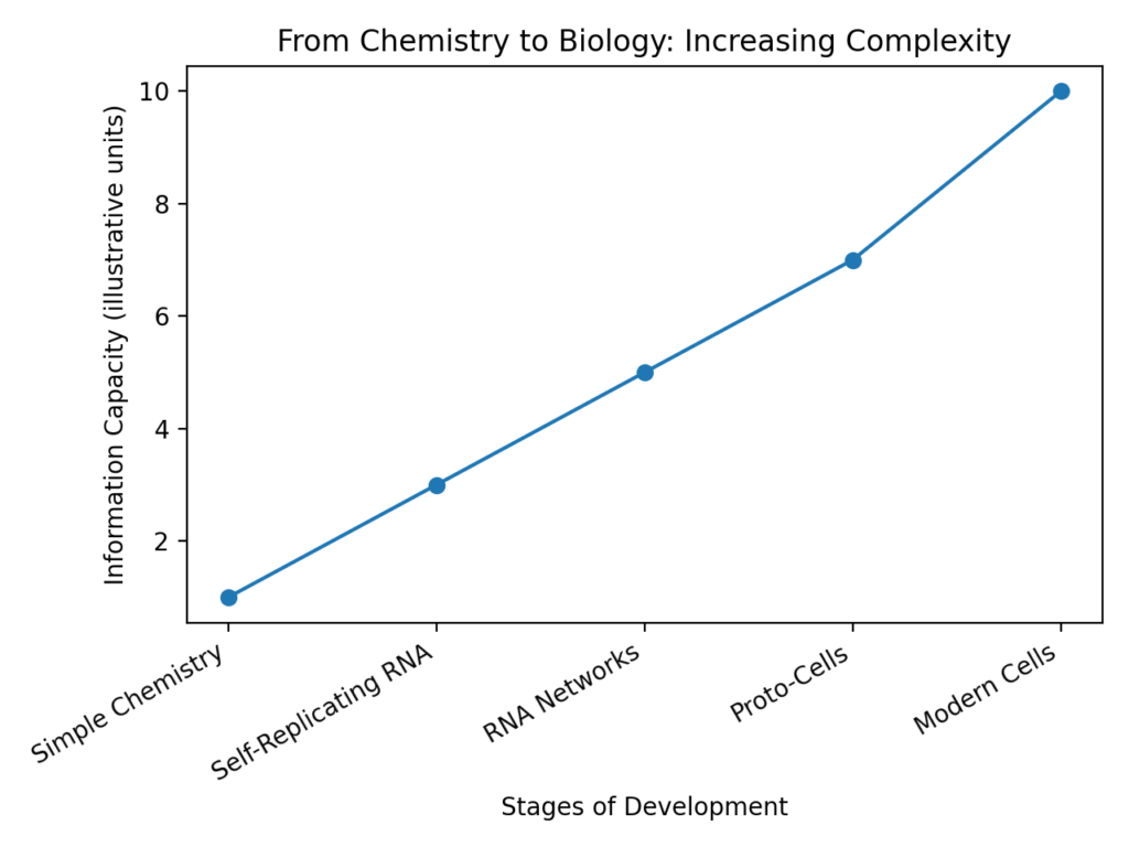 Tiny Self Copying RNA Discovery