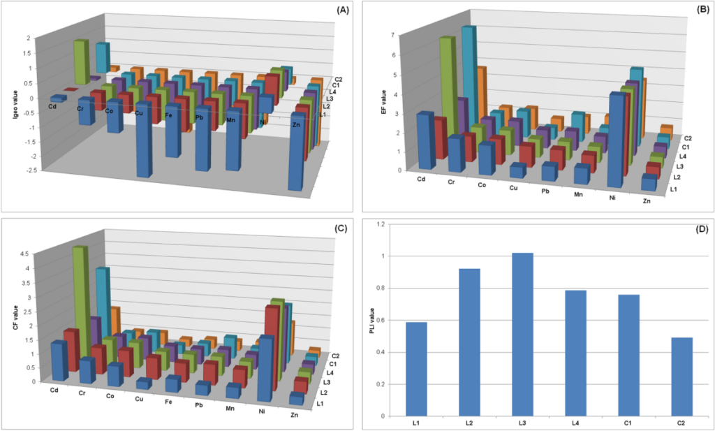 The Role of Baths in Roman Society