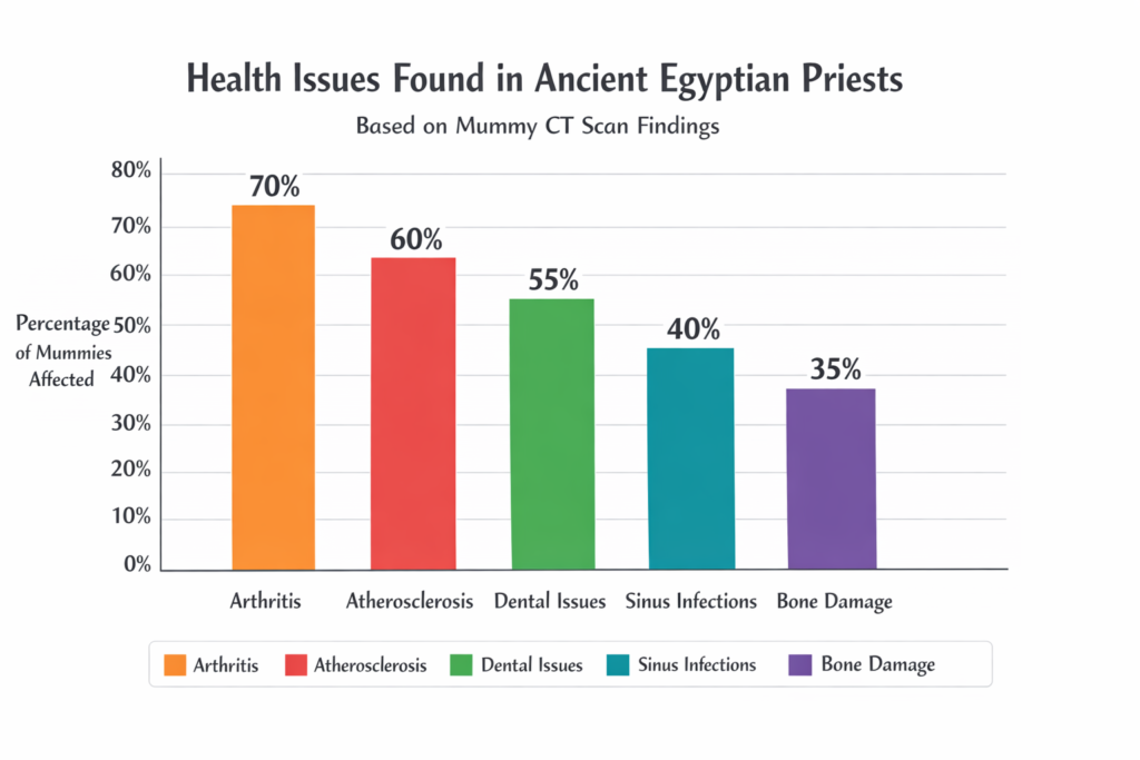 Mummy CT scans Details