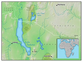 A Newly Found Skeleton Maps