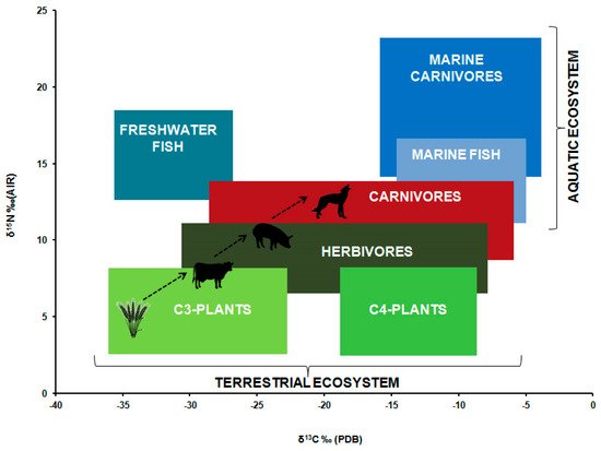 Archaeological Distribution of Food Sources in Prehistoric Diets