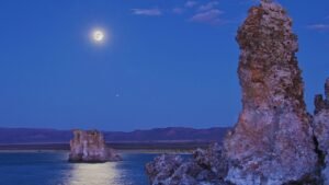 Controversial Arsenic Life