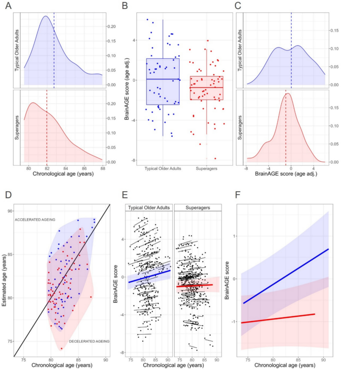 Memory Performance Graph
