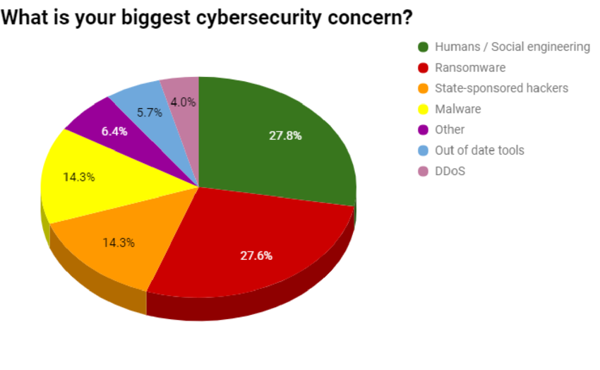 Pie-chart-showing-the-biggest-cybersecurity-concerns