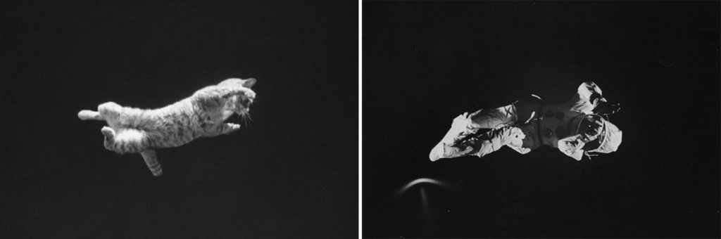 Étienne-Jules Marey Early Photography