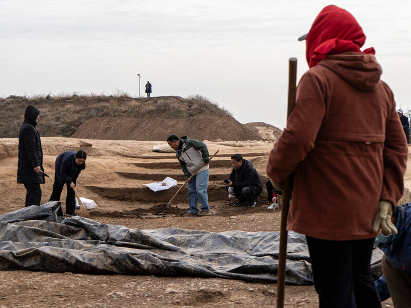 Archaeological Clues From Buried Settlements