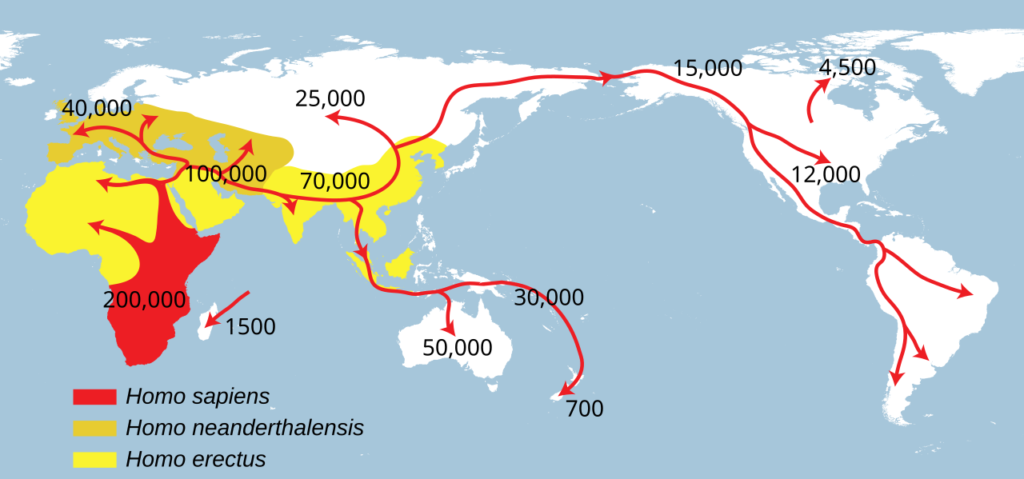 Neanderthals and Humans Interacted